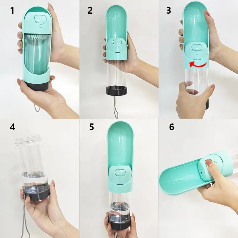 Water Bottle