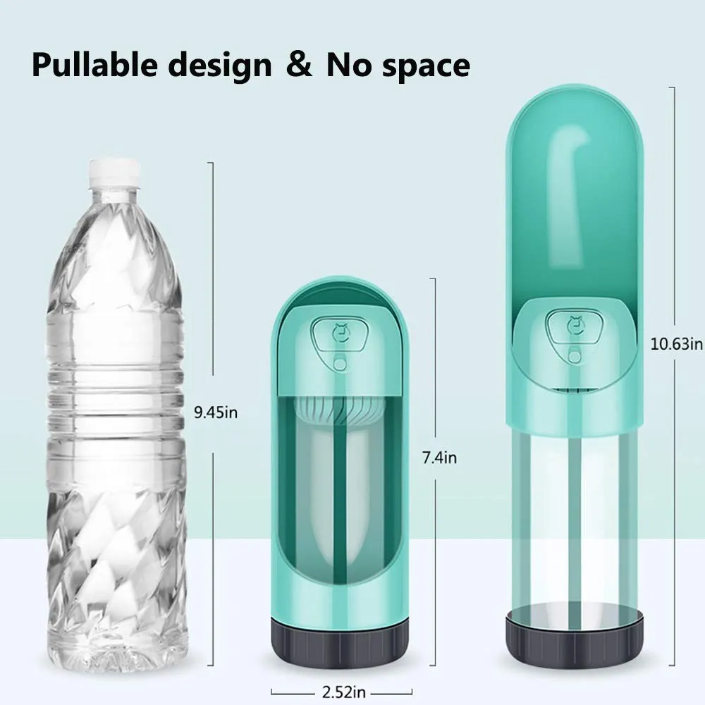 Water Bottle