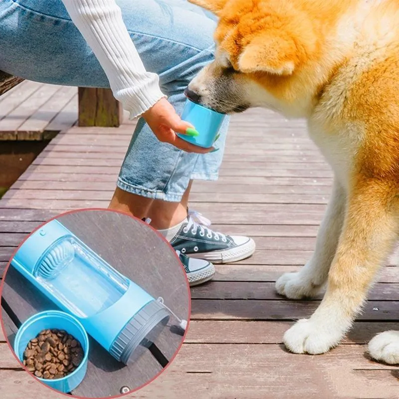 Water Bottle